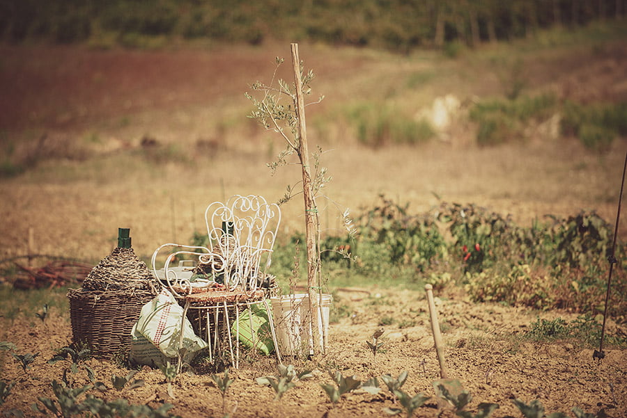 Wedding in Monte Follonico, Siena (Italy) countryside. Objects in countryside. Andrea Corsi wedding photographer, Tuscany.